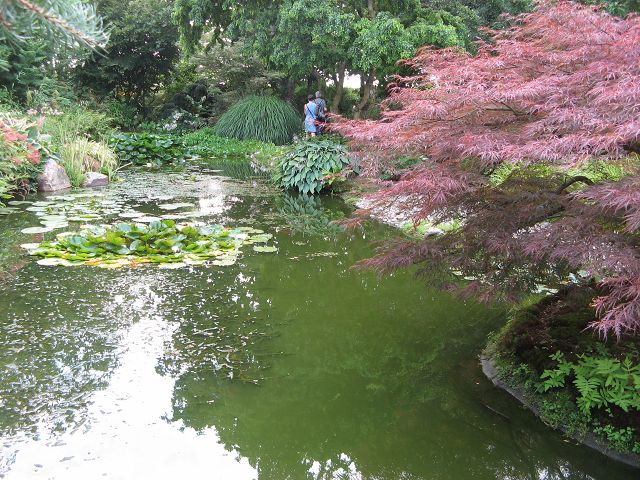 Jardin de Valerianes